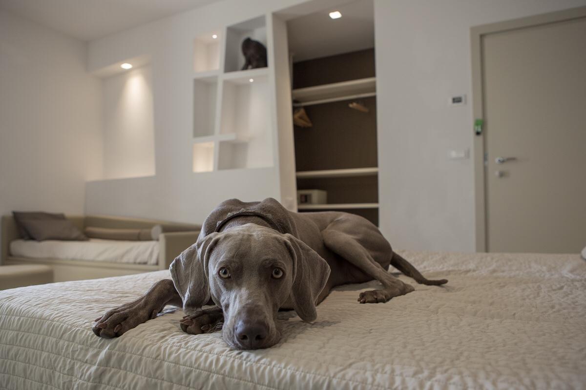 Hotel Principe Rimini Dış mekan fotoğraf